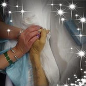 Heather Decker's photo