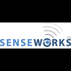 Digital Senseworks LLC