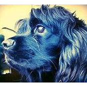 Foto von Wendy Coates