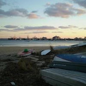 Julie Lammel's photo