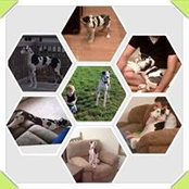 Michael Mulvihill's photo
