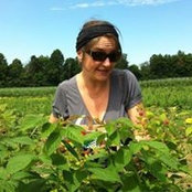 Foto de Marie-Josée Bergeron

