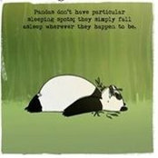 Sarah Podles's photo