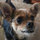 erin_crum8678714