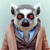 Foto von Maximillian Rampertshammer