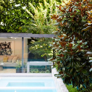 New Pool Construction and Backyard Upgrade in Sherman Oaks, CA