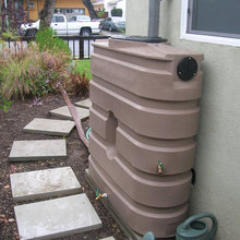 Rain Barrel and Cisterns