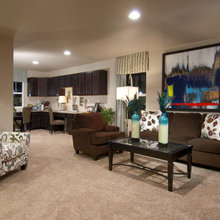 Entertainment Room