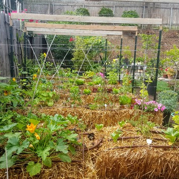 John's Garden Sanctuary