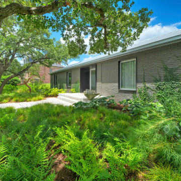 Natural Shade Garden