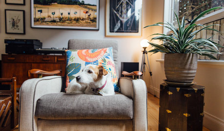 My Houzz: A Creative Collector's Home Bursting With Personality