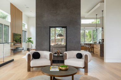 Living room - modern living room idea in San Francisco