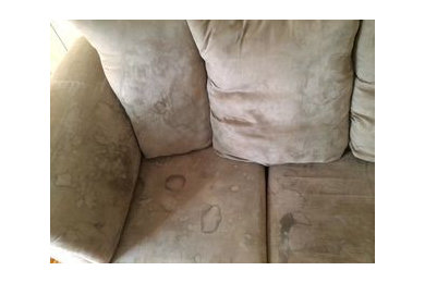 Before & After Upholstery Cleaning in Belmont, MA