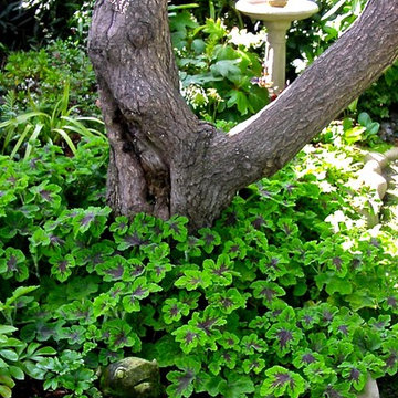 Gardens