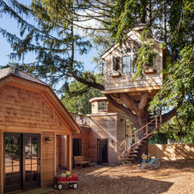 Tree House