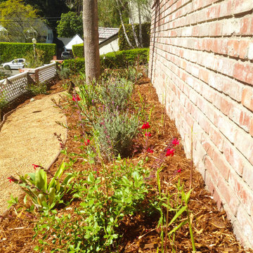 Drought Tolerant-Hill Side