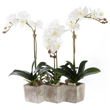 Three Sisters Real Touch White Orchid Arrangement