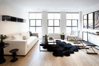 Example of a trendy living room design in New York