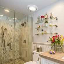 Bathroom In Basement