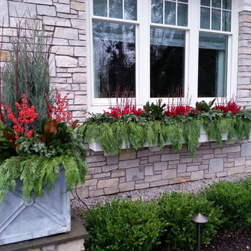 Winter Container Gardens