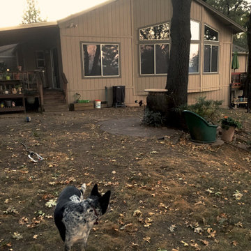 Shingle Springs Back Yard