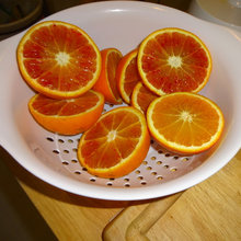 February 2018 Citrus Pics