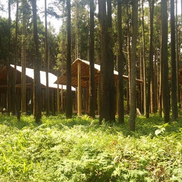 森の建築