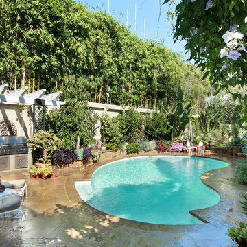 Outdoor Living