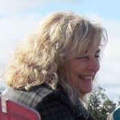 Lynn Stein's photo