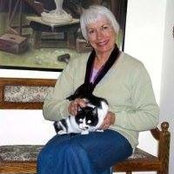 Suzanne Barrettさんの写真