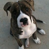 Anne Colombero's photo