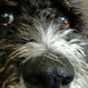 Carol Bright's photo