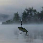Jennifer Leister's photo