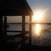 Charles Fox's photo