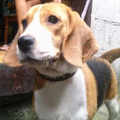 Photo de Roni Baluyot