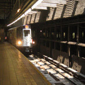 Martin Perna's photo