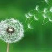 Joy Meyer's photo