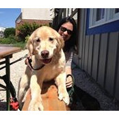 Vicki Boyne's photo