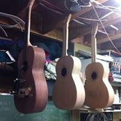 Thom Morin's photo