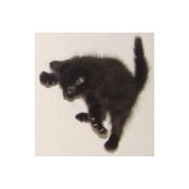 Jason Pope's photo