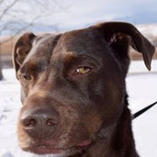 Joe Keenan's photo