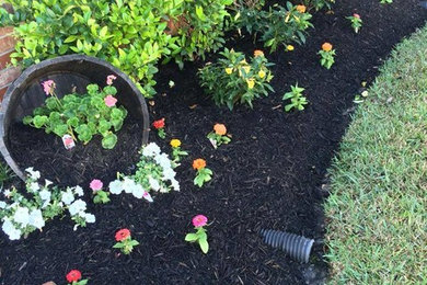 Photo of a traditional mulch landscaping in Houston.