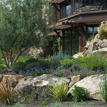 Landscaping Ideas