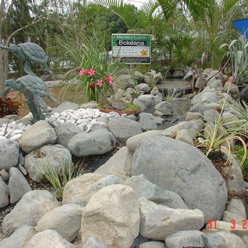 Biological Koi Ponds