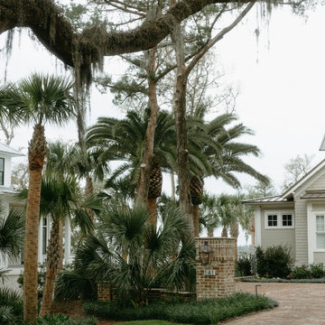 Palm Garden