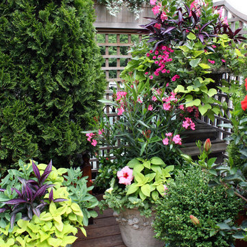 Roofdeck Container Garden