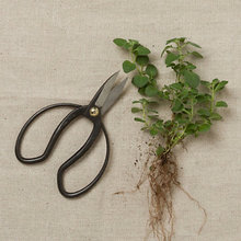 gardening tools