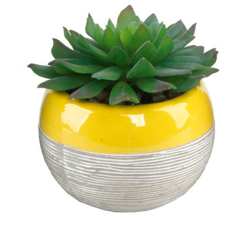 Succulent In Two Tone Lines Pattern Ceramic Pot ,Yellow