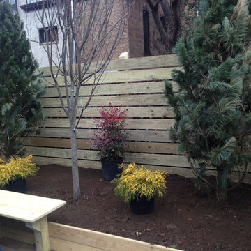 Town House Landscape Design and Renovation