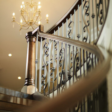 Elegant Maple Curve